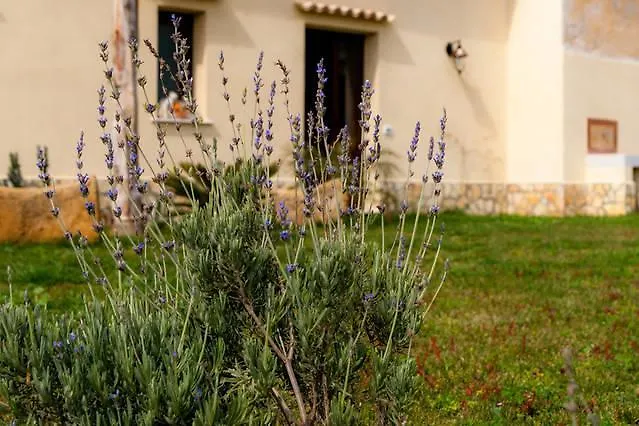 B&B Solesun Trapani Bed & Breakfast